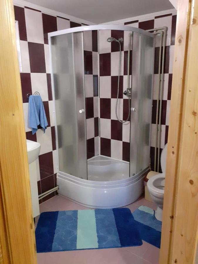 Holiday Home Melodiya Karpat Yaremche Eksteriør billede